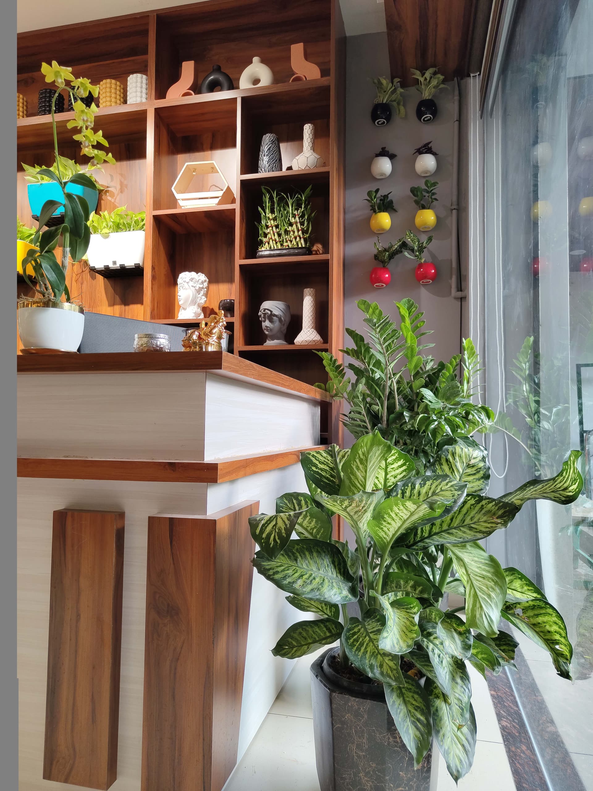 Grow Naturals